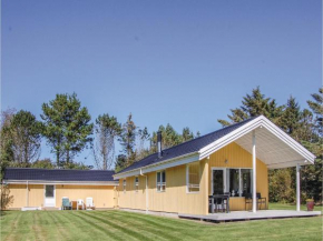 Three-Bedroom Holiday Home in Hjorring